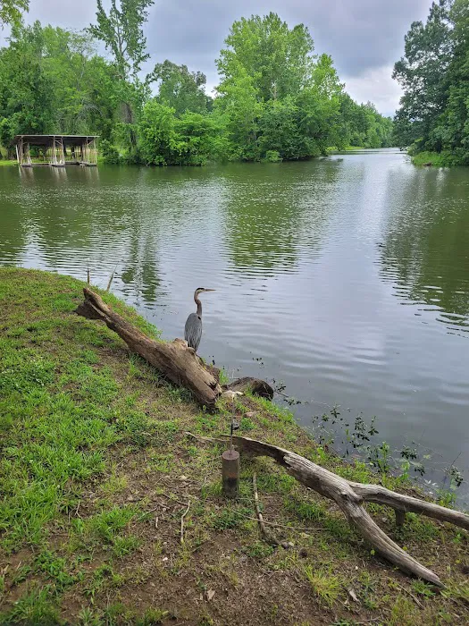 Crooked Creek Campground Picture 6