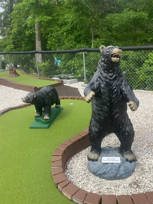Quest RV Park Picture 4