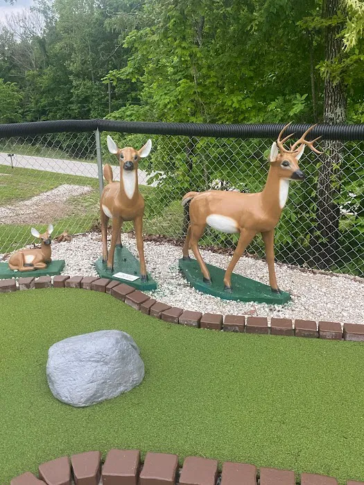 Quest RV Park Picture 10