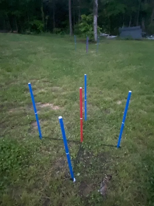 Quest RV Park Picture 2