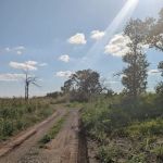 Bluestem Campground