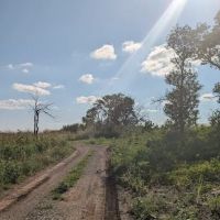 Bluestem Campground ico