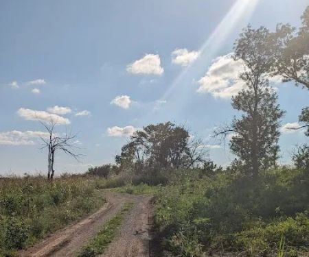 Bluestem Campground