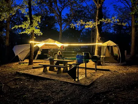 Whitehall Bay Campground Picture 4