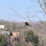 Hidden Oasis at White Oak Landing
