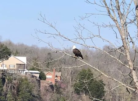 Hidden Oasis at White Oak Landing