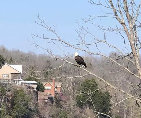 Hidden Oasis at White Oak Landing