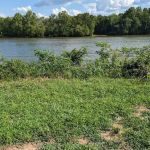 Red Oak Point