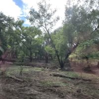 Rock Ridge South Campground ico