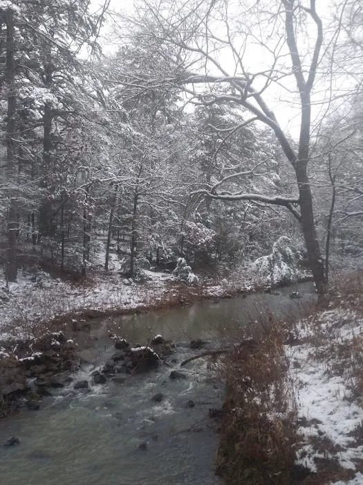 Red Bud Campground Picture 4