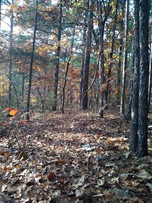 Camp Ground #2 Picture 8