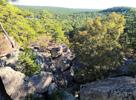 Camp Ground #2