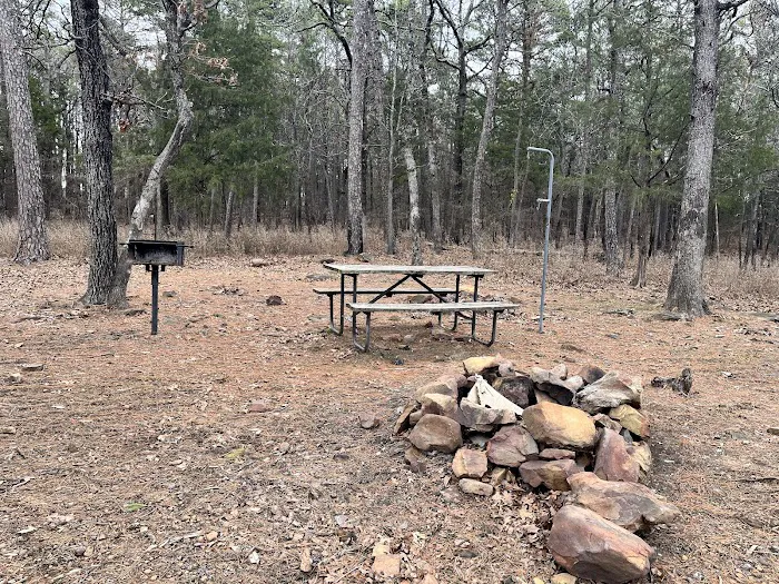 Lake Wayne Wallace Campground Picture 10