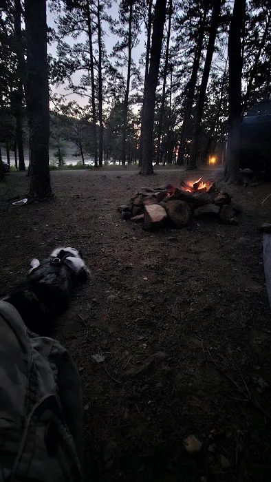 Lake Wayne Wallace Campground Picture 2