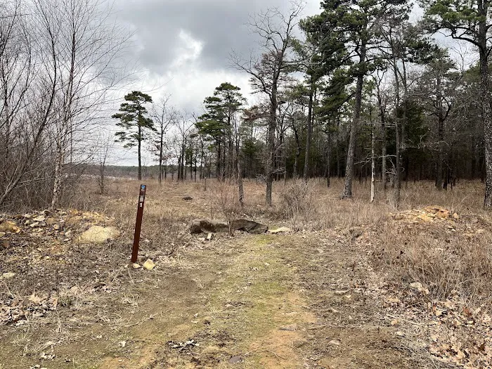 Lake Wayne Wallace Campground Picture 4
