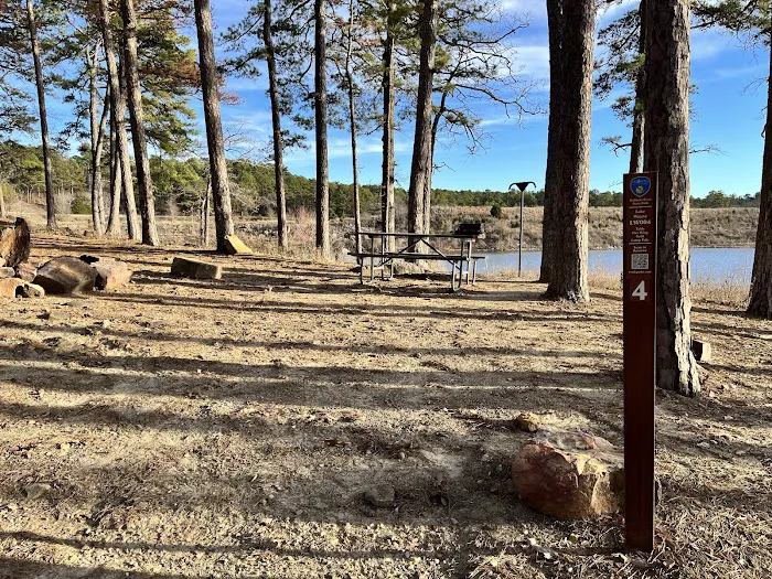 Lake Wayne Wallace Campground Picture 9