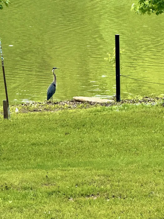 The Cove At Tennessee River RV Sites Picture 7