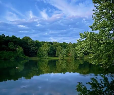 The Cove At Tennessee River RV Sites