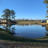 The Farm at Sandollar ico
