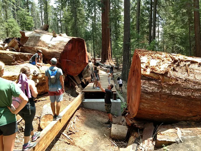 Redwood Meadow Campground Picture 2