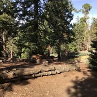 Redwood Meadow Campground ico