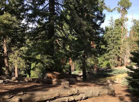 Redwood Meadow Campground