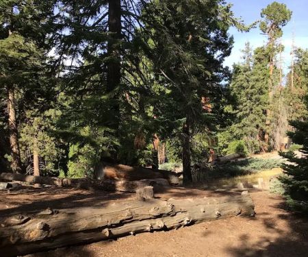 Redwood Meadow Campground