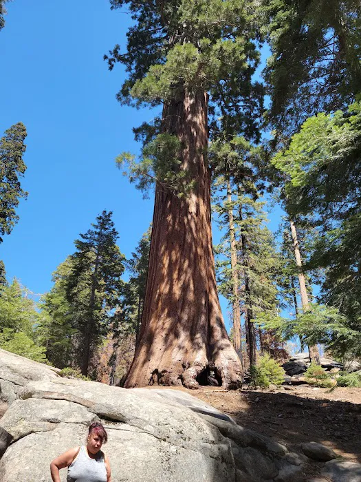 Redwood Meadow Campground Picture 3