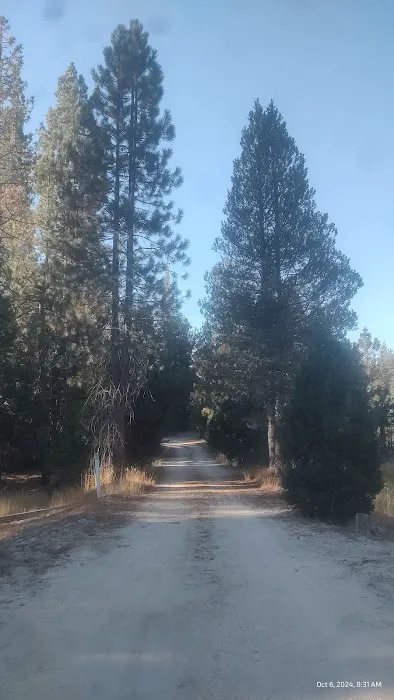 Long Meadow Group Campground Picture 10