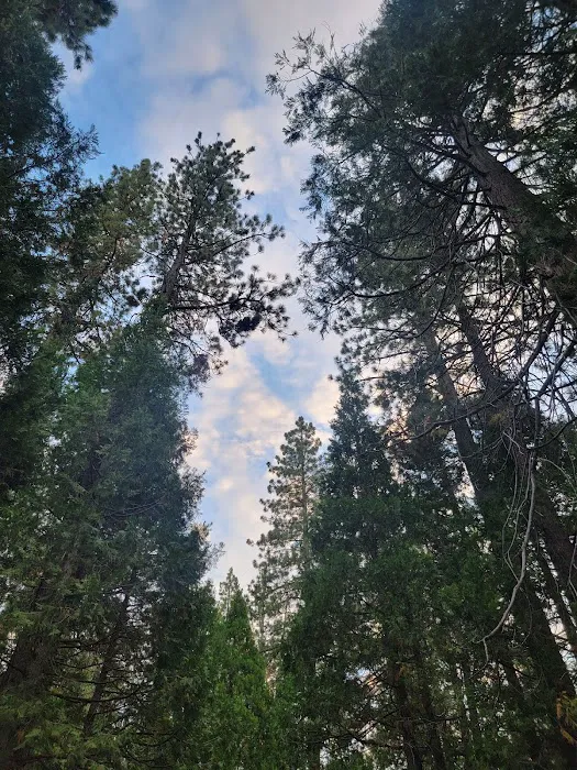Long Meadow Group Campground Picture 2