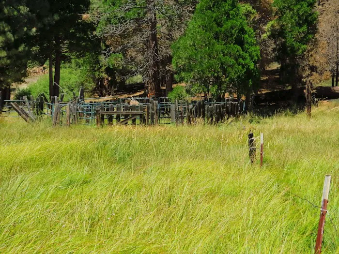 Long Meadow Group Campground Picture 4