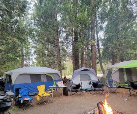 Long Meadow Group Campground