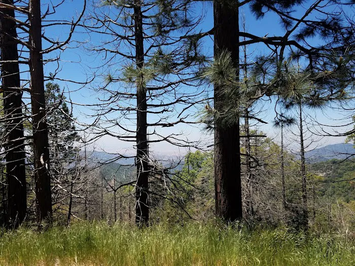 Long Meadow Group Campground Picture 8