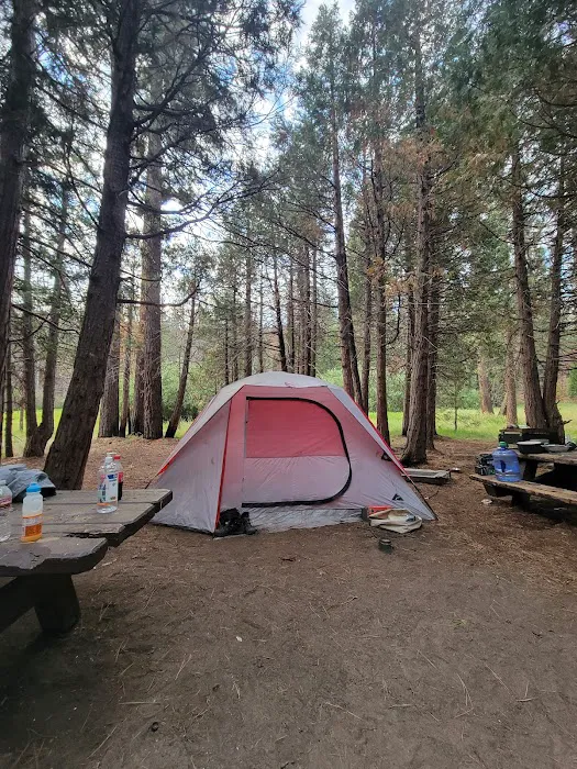 Long Meadow Group Campground Picture 3