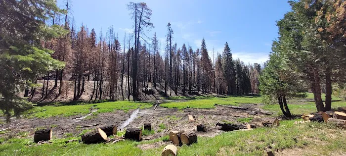 Holey Meadow (recgovnpsdata) Picture 1