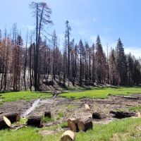 Holey Meadow (recgovnpsdata) ico
