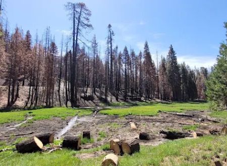 Holey Meadow (recgovnpsdata)