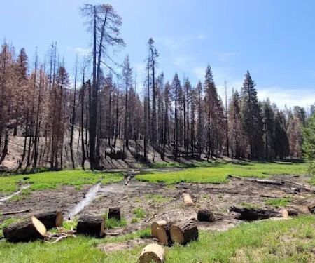 Holey Meadow (recgovnpsdata)