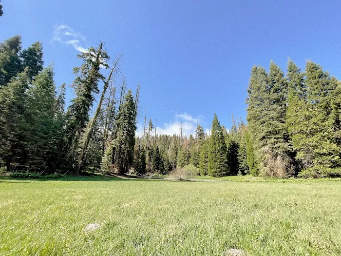 Holey Meadow (recgovnpsdata) Picture 5