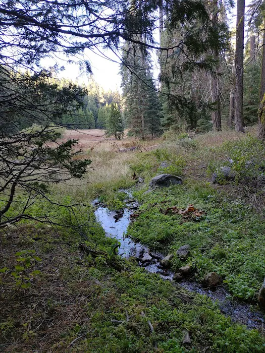 Holey Meadow (recgovnpsdata) Picture 6