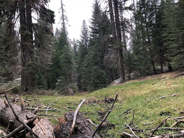 Holey Meadow (recgovnpsdata) Picture 10