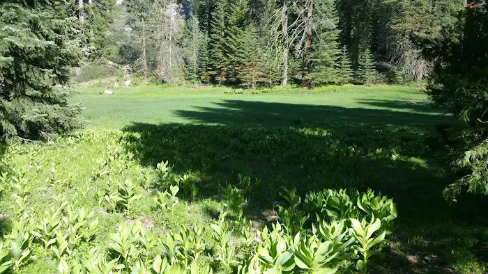 Holey Meadow (recgovnpsdata) Picture 7