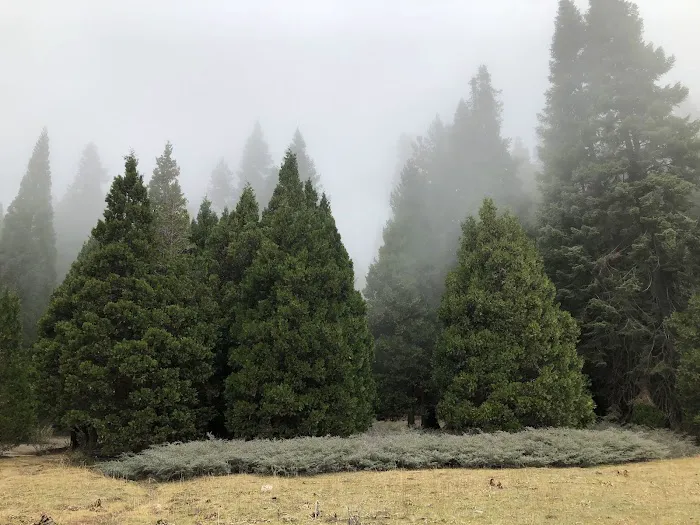 Holey Meadow (recgovnpsdata) Picture 9