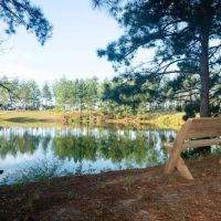 Dream RV Parks ico