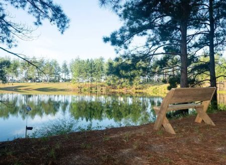 Dream RV Parks