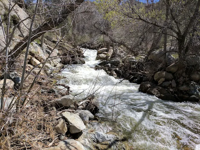 Brush Creek Class III Rapid Picture 4