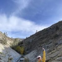 Brush Creek Class III Rapid ico