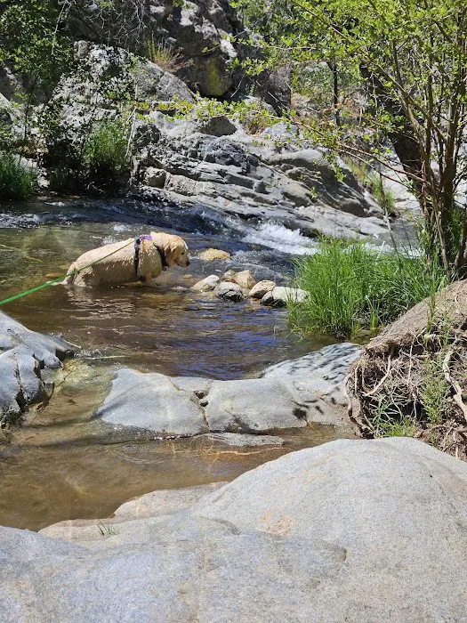 Brush Creek Campground Picture 9