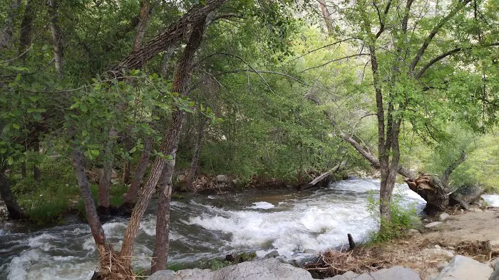 Brush Creek Campground Picture 6