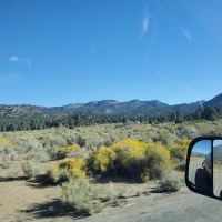Fish Creek Campground ico